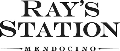 Rays Station Logo